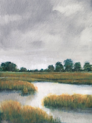 Picture of SALT MARSHES II