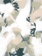 Picture of SUMI STORM II