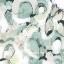 Picture of SAGE SCALES I
