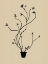Picture of SPRING SPRIG VASE II