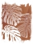 Picture of SIENNA SHADOWS I
