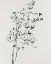 Picture of WILD FLOWER BOUQUET I