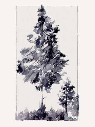 Picture of INKY EVERGREEN I