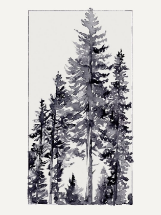Picture of INKY EVERGREEN II