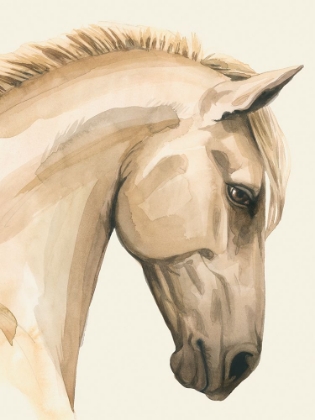 Picture of GOLDEN PALOMINO I