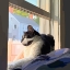 Picture of SUNNING KITTIES II