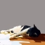 Picture of SUNNING KITTIES IV