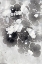 Picture of MARBLING XIII