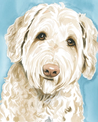 Picture of LABRADOODLE I