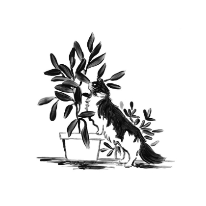 Picture of PURRFECT HOUSE PLANTS I