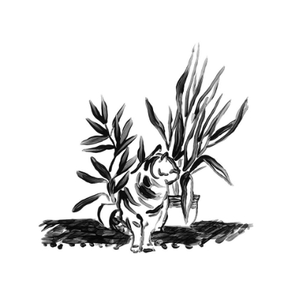 Picture of PURRFECT HOUSE PLANTS II