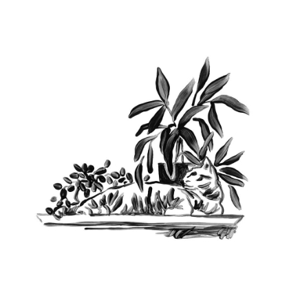 Picture of PURRFECT HOUSE PLANTS III