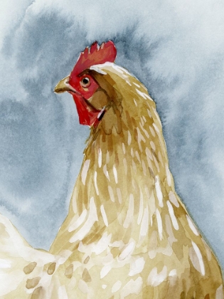 Picture of CHICKEN PORTRAIT I