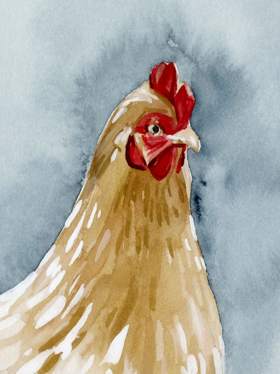 Picture of CHICKEN PORTRAIT II