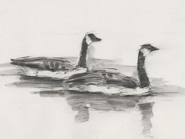 Picture of GEESE STUDY I