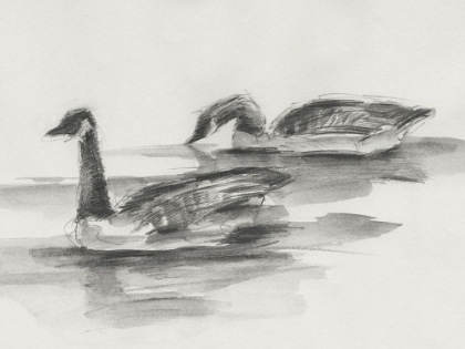 Picture of GEESE STUDY II