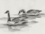 Picture of GEESE STUDY II