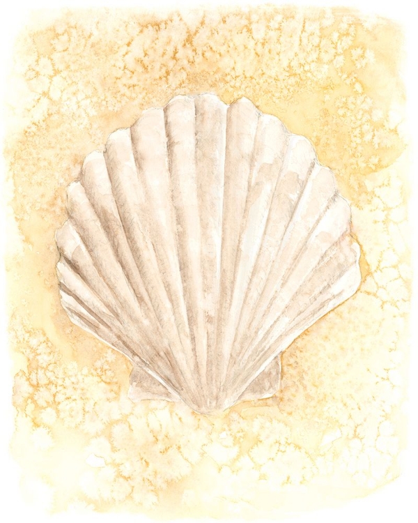 Picture of SALTY SEASHELL II