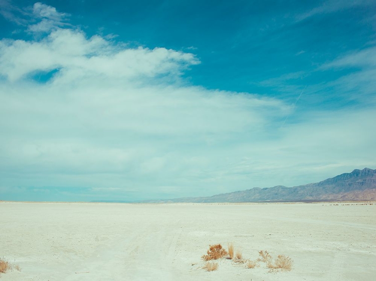 Picture of SALT FLAT WALK I