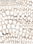 Picture of VINTAGE PATTERN II