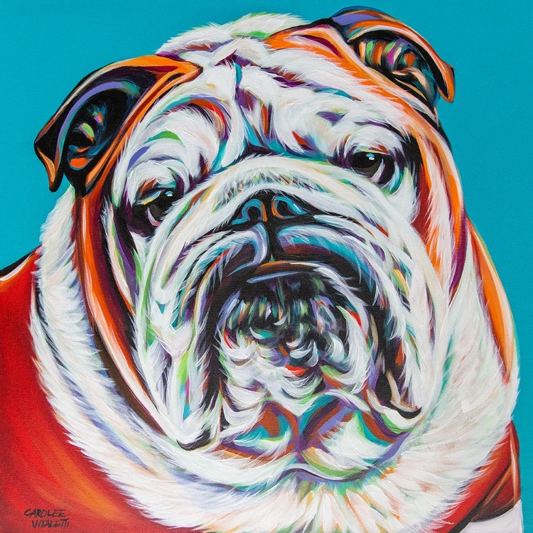 Picture of COLORFUL BULLDOG