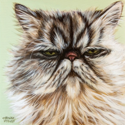 Picture of PERSIAN CAT I
