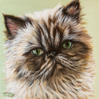 Picture of PERSIAN CAT II