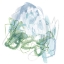 Picture of WATER SPRIG IV
