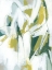 Picture of EMERALD ICE III