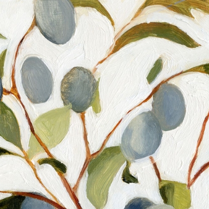 Picture of OLIVES ON THE BRANCH II