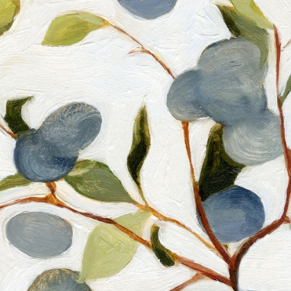 Picture of OLIVES ON THE BRANCH III