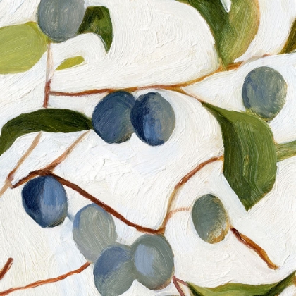 Picture of OLIVES ON THE BRANCH IV