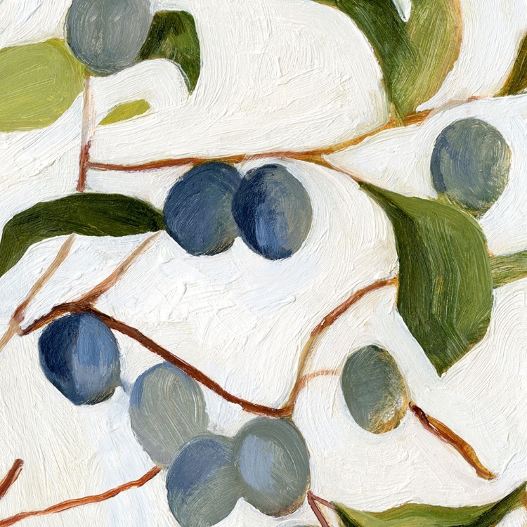 Picture of OLIVES ON THE BRANCH IV