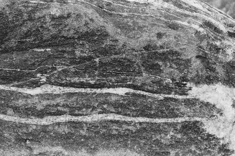 Picture of FOUND TEXTURES X