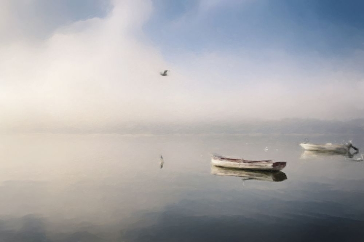 Picture of BOATS AT DAWN