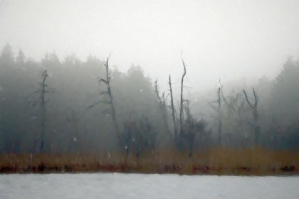 Picture of DESOLATE BEACH