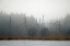 Picture of DESOLATE BEACH