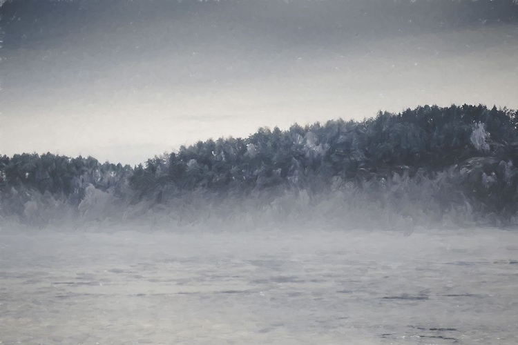 Picture of FOG AND FOREST