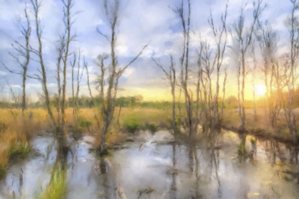 Picture of SUNRISE SWAMP