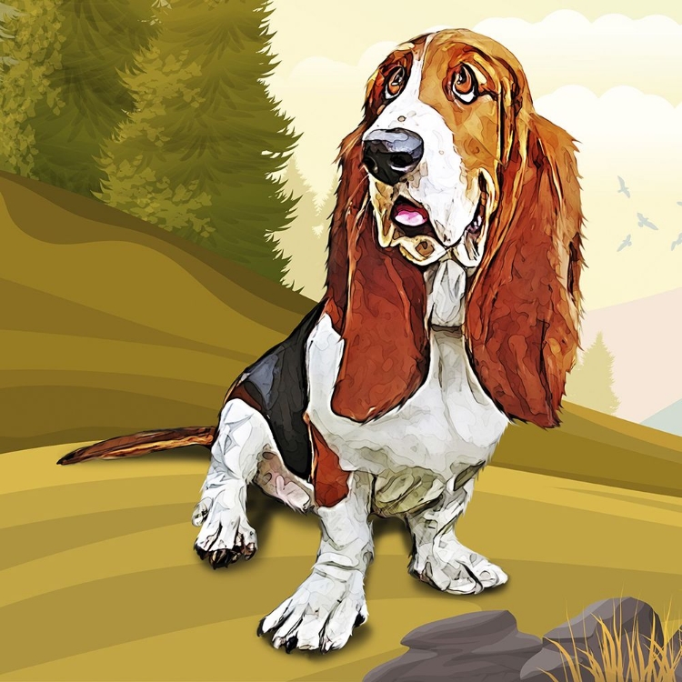 Picture of BASHFUL BASSET