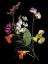 Picture of FLOWER DRAMA I