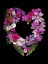 Picture of FLOWER DRAMA VI