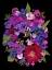 Picture of FLOWER DRAMA VIII