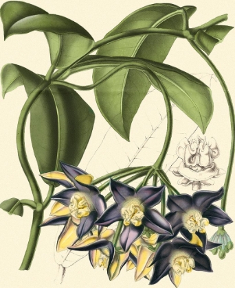 Picture of EXOTIC FOLIAGE III