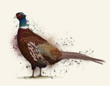 Picture of PHEASANT SPLASH 1