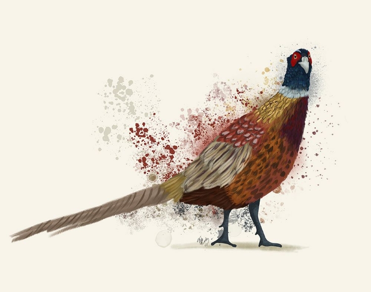 Picture of PHEASANT SPLASH 2