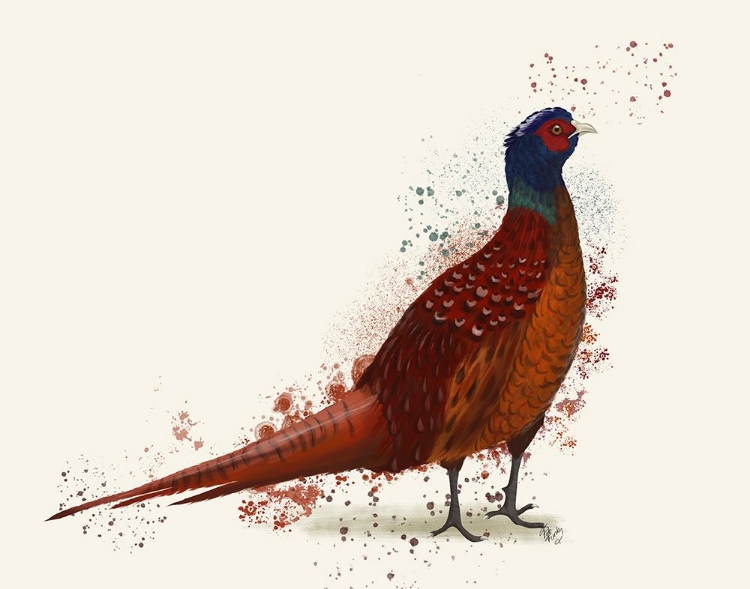 Picture of PHEASANT SPLASH 4