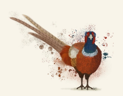 Picture of PHEASANT SPLASH 7