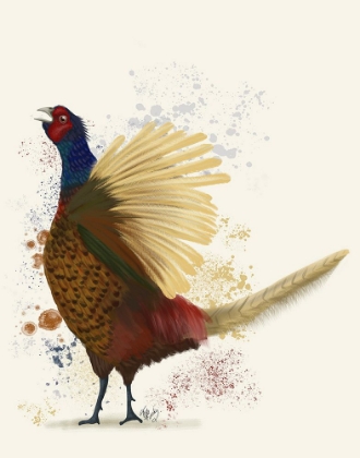 Picture of PHEASANT SPLASH 8