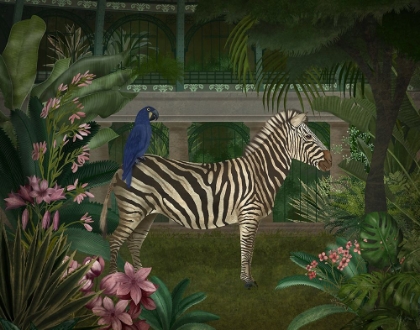 Picture of ZEBRA IN CONSERVATORY
